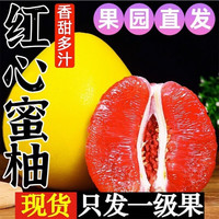集年鲜 福建新鲜红心柚子新鲜红柚采摘水果节日送礼 含箱5斤净重4.5斤优选果