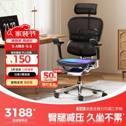 Ergonor 人体工学椅  黑色网