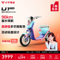 小牛电动 U1 one 电动自行车 48V24Ah锂电