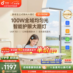 孩视宝 E1 全光谱红光护眼 100W 立式大路灯