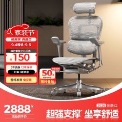 Ergonor 金豪E 2代 人体工学电脑椅 银白色 Q4.0版