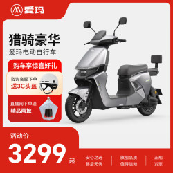 爱玛 猎骑S1 长续航 电动自行车