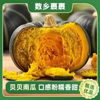 贝贝南瓜粉糯香甜板栗南瓜现摘现发包邮f
