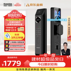 凯迪仕 P30 Pro Max 电子智能锁 幻影黑