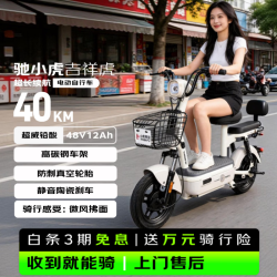 驰小虎 长续航 电动自行车 铅酸电池 吉祥虎-40KM-白色
