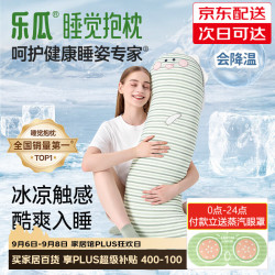 乐瓜 凉感可拆洗 加大恐龙-冰凉款 长条抱枕