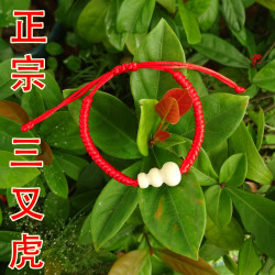  正宗老木三叉虎三叉苦三叉虎三丫苦木葫芦手绳