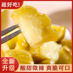 新未 佛手瓜568g脆爽可口糖醋酸甜开胃即食爽口脆嫩酱瓜南方下饭菜
