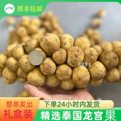 现货泰国龙宫果口感酸甜鲜椰色果稀奇古怪新鲜水果半斤-5装发顺丰