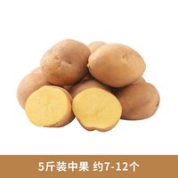 东方甄选 甘肃定西沙面土豆洋芋马铃薯当季新鲜蔬菜色生鲜烧烤食材