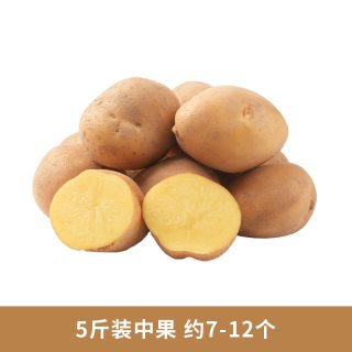 东方甄选 甘肃定西沙面土豆洋芋马铃薯当季新鲜蔬菜色生鲜烧烤食材