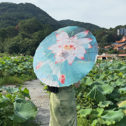 DH-06古风油纸伞中汉服拍摄写真创意国风伞旗袍伞走秀伞