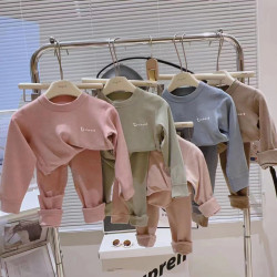 儿童蚕丝绵羊毛无骨套装中领中大童秋衣秋裤家居服套装