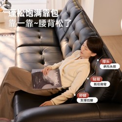 帕沙曼 真皮沙发小户型客厅头层牛皮现代简约2026新款直排黑色沙