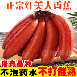 俊怡 正宗广西红美人香蕉5斤9斤香甜糯红皮美人蕉新鲜水果