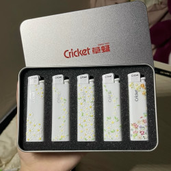 Cricket草蜢打火机DIY高颜值防爆打火机小雏菊款式作为男女生礼物