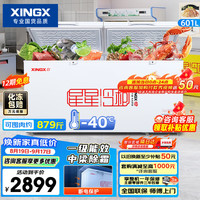 星星 601L商用冰柜 大容量冰箱冷藏冷冻转换柜  BD/BC-628GE