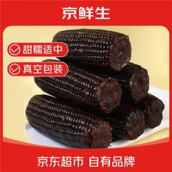 京鲜生 &黑熊查克黑糯玉米10根*180g真空包装低脂粗粮早餐 源头产地直发