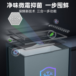 星星 零下30℃ 冰柜  300L