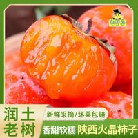 百亿补贴：胡鲜森 陕西火晶柿子糖心软柿子爆浆流心新鲜水果当季50g起