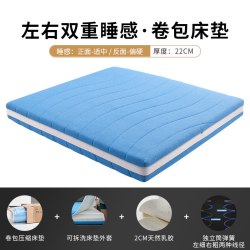 慕思 今晚慕思集团品牌十大名牌乳胶床垫慕斯卷包弹簧蓝精灵