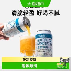 大九酿造 #值酒发现官#大九酿造意想指南柏林酸小麦啤酒罐装国产精酿水果金桔柠檬酸啤