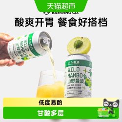 大九酿造 #值酒发现官#大九酿造山野曼波油柑酸梅西打果酒国产精酿啤酒水果330ml*2罐装
