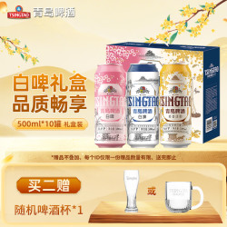 青岛啤酒 年货节 啤酒礼盒  礼盒装罐啤 500*10 500ml