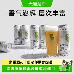 大九酿造 临浑浊IPA啤酒500ml*6罐装国产精酿易拉罐清爽全开口