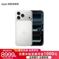 Apple iPhone 17 Pro Max 5G手机 256GB 银色