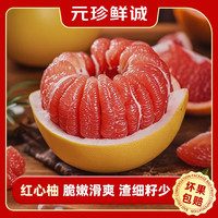 元珍鲜诚 平和琯溪蜜柚 福建红心柚子 新鲜水果整箱 中秋 蜜柚 5斤装（净果4.5斤）