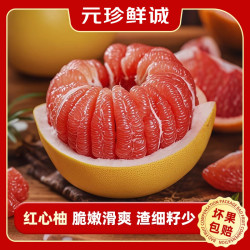 元珍鲜诚 平和琯溪蜜柚 福建红心柚子 新鲜水果整箱 中秋 蜜柚 5斤装（净果4.5斤）