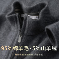 雪中飞 羊毛衫男秋冬季半高领含山羊绒长袖保暖休闲毛衣