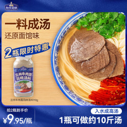 Taste Matters 兰州牛肉面风味汤料 110g