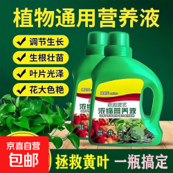 京喜 植物营养液通用型家用养花卉绿萝水培绿植多肉盆栽发财树液体肥料 升级款500ml*1瓶