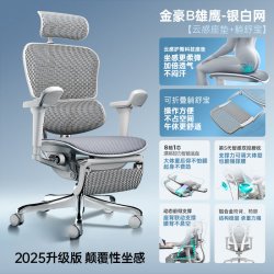 Ergonor 保友 金豪b雄鹰 人体工学椅电 云感科技坐垫+躺舒宝