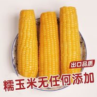 穗康糯玉米新鲜甜糯黄糯8支装230g/支非转基因玉米黏真空装糯米