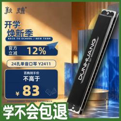 敦煌 煌之谣 24孔单音口琴 黑色Y2411 C调