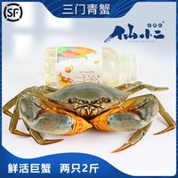 仙小二 三门青蟹 鲜活公蟹 水产海鲜