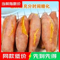 沙地蜜薯九龙蜜 小果单果100g起 带箱5斤净重4.5斤 带箱 中小果