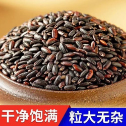 东北黑糯米五谷杂粮农家新货粥粮食粗粮血糯米