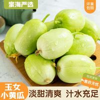 山东玉女小黄瓜3斤淡甜清爽 汁水充足