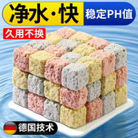 鱼缸过滤材料硝化细菌屋陶瓷环鱼池净化水质石英球过滤器培菌滤材