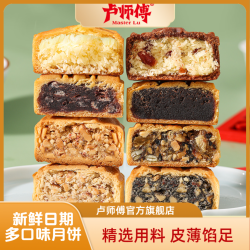 卢师傅 椰蓉巧克力五仁花生红豆中秋月饼休闲零食糕点好吃点心礼品