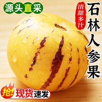 春福乐 正宗石林人参果大黄果清甜多现摘现发黄肉圆果 5斤精选果净4斤