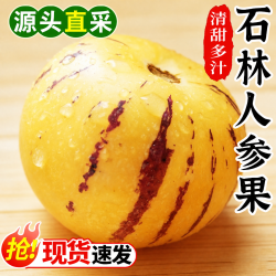 春福乐 正宗石林人参果大黄果清甜多现摘现发黄肉圆果 5斤精选果净4斤