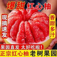 洽鲜果 福建红心蜜柚当季时令新鲜水果现摘新鲜红肉柚子产地批发10斤