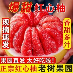 洽鲜果 福建红心蜜柚当季时令新鲜水果现摘新鲜红肉柚子产地批发10斤