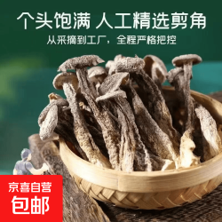 鹿茸菇新货鹿茸菇滋补养血新鲜香菇干货福建特产鹿茸菇补气血煲汤 鹿茸菇 20g*1袋
