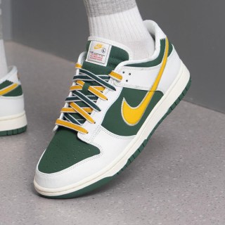 NIKE 滔搏丨NIKE耐克男子DUNK RETRO经典板鞋运动休闲鞋IM4413-100
